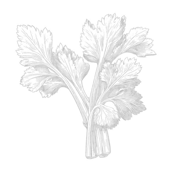 Frisches Gemüse