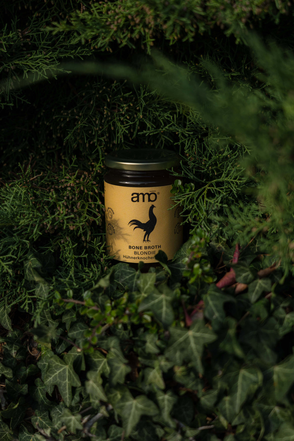 AMO Bio Hühnerknochenbrühe im Glas